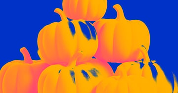 zappi pumpkin spice