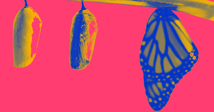 From order-taker to strategic partner: PepsiCo’s insights evolution Image
