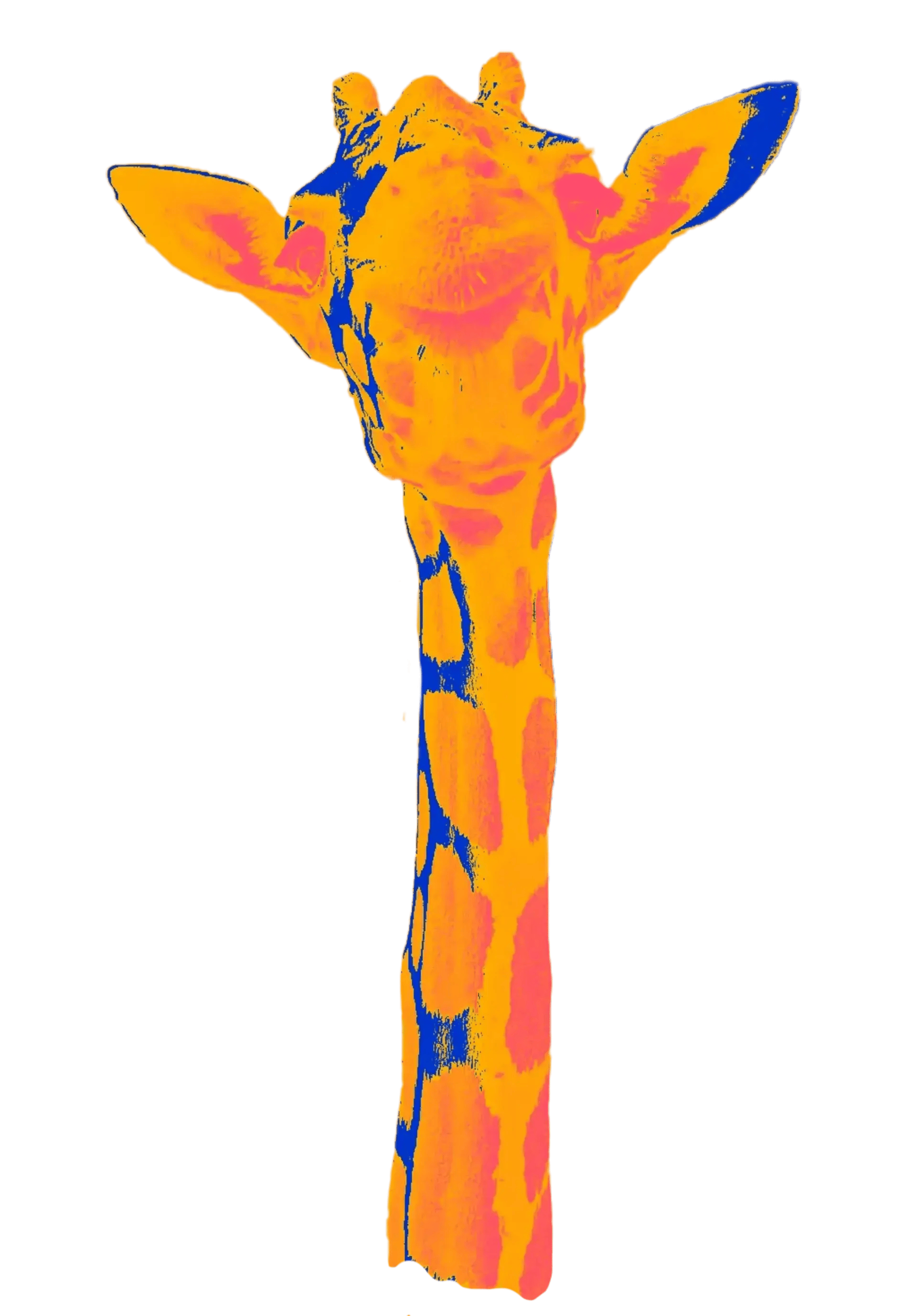 giraffe