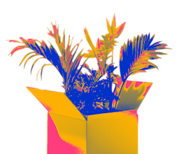 growth