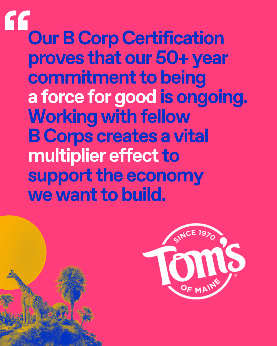 B Corp Quotes - LinkedIn Carousel - Tom's of Maine