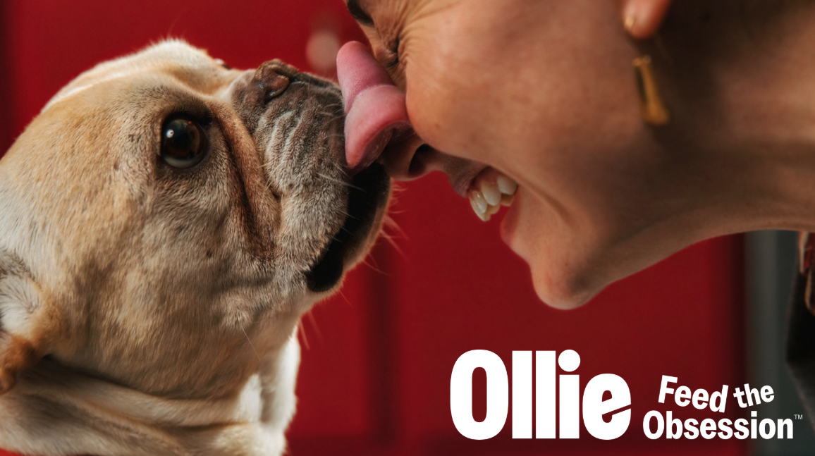 Ollie Feed the Obsession campaign