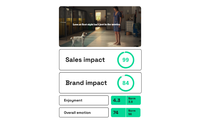 Chart showing sales and brand impact of Pedigree's 