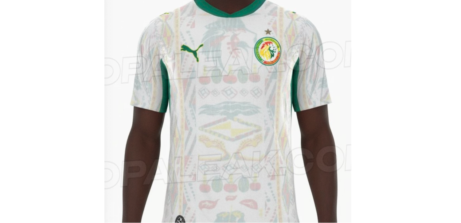 Shirt shows unique design. 