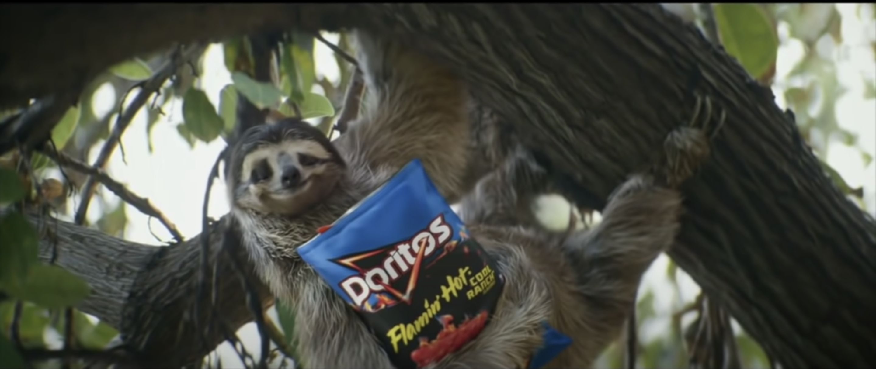 Cheetos & Doritos Super Bowl 2022