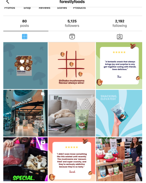 Instagram feed includes earthy brand colors, product features, and playful jokes.