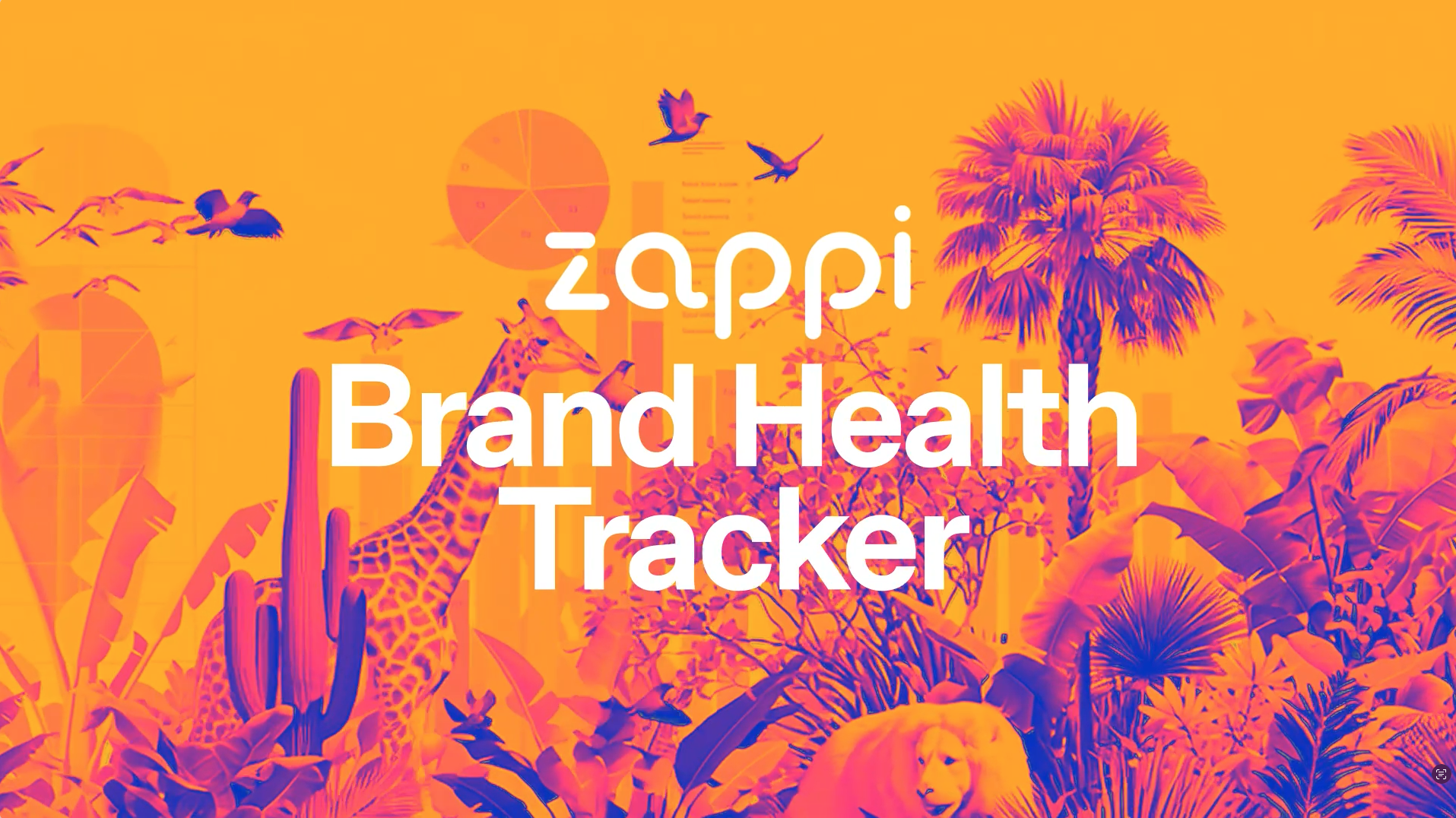 Zappi Brand Heath Tracker thumbnail