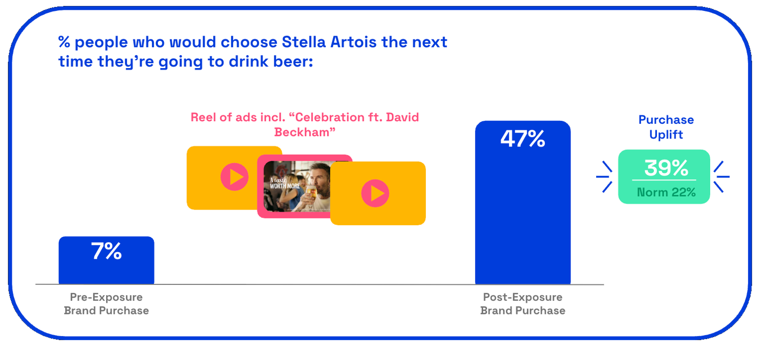 stella5